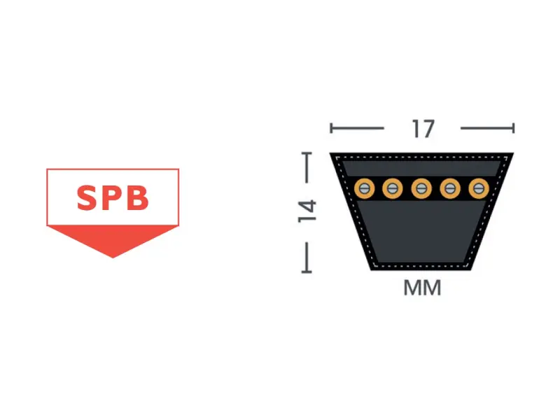 SPB Narrow wrapped V-belts~41.jpg